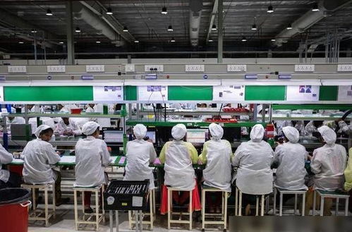 蘋果印度工廠遭暴力打砸，緯創澄清與業務培訓問題引發反思